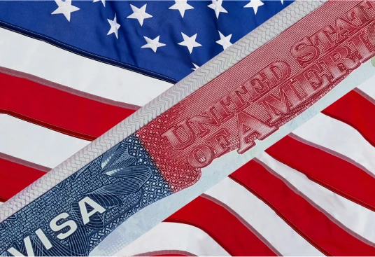 Diversity Visa lottery applicants from around the world